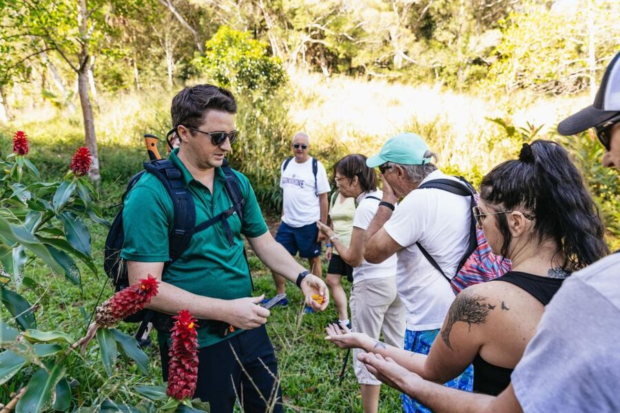 Maui: Rainforest Waterfalls Guided Hike with Picnic Lunch - Starting near Kahului and reaching East Maui
