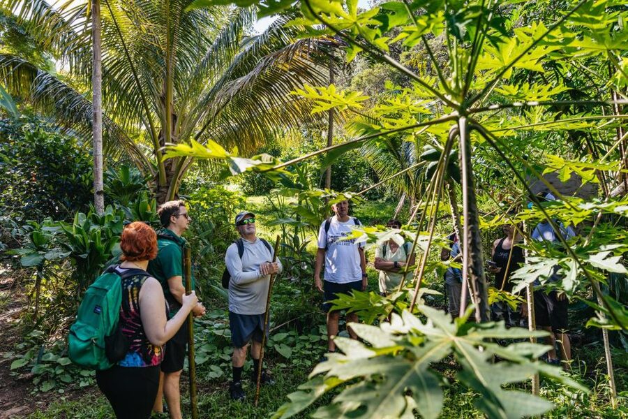 Maui: Rainforest Waterfalls Guided Hike with Picnic Lunch - Waterfalls from 3 to 12 meters high