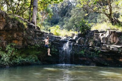 Maui: Rainforest Waterfalls Guided Hike with Picnic Lunch
