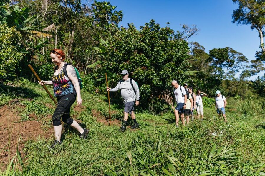 Maui: Rainforest Waterfalls Guided Hike with Picnic Lunch - What the guides add to the day