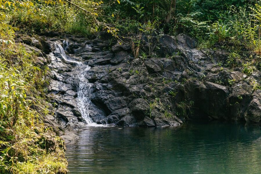 Maui: Rainforest Waterfalls Guided Hike with Picnic Lunch - Is $187 a fair price?