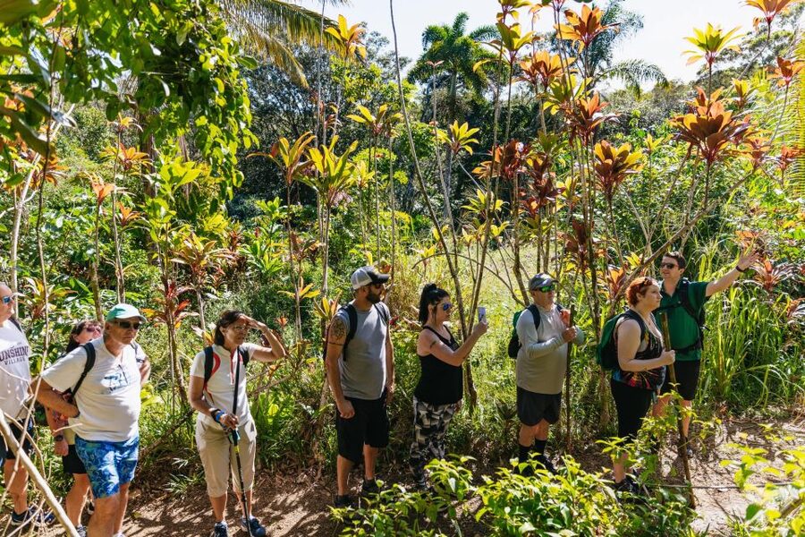 Maui: Rainforest Waterfalls Guided Hike with Picnic Lunch - Who will enjoy this most?