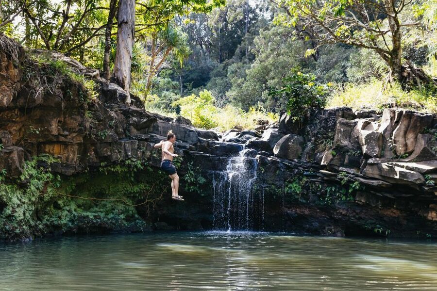 Maui: Rainforest Waterfalls Guided Hike with Picnic Lunch - Following two streams through the rainforest