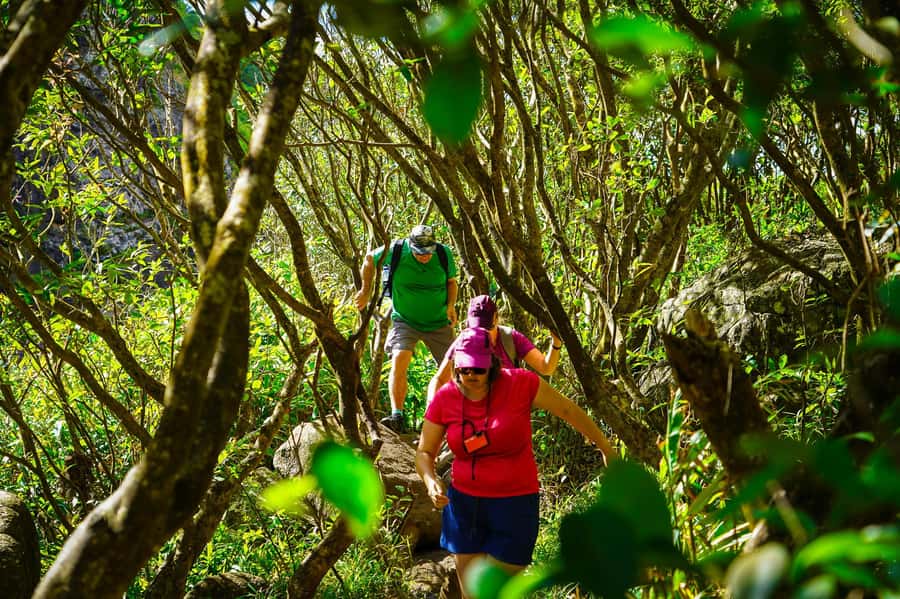 Mauritius: Exploring the Tamarind Falls with a Guide - What the Tamarind Falls walk is really like