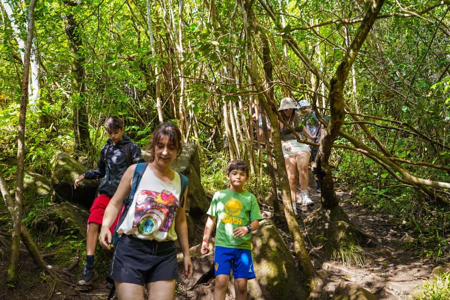Mauritius: Exploring the Tamarind Falls with a Guide - The steep sections and rock scrambling