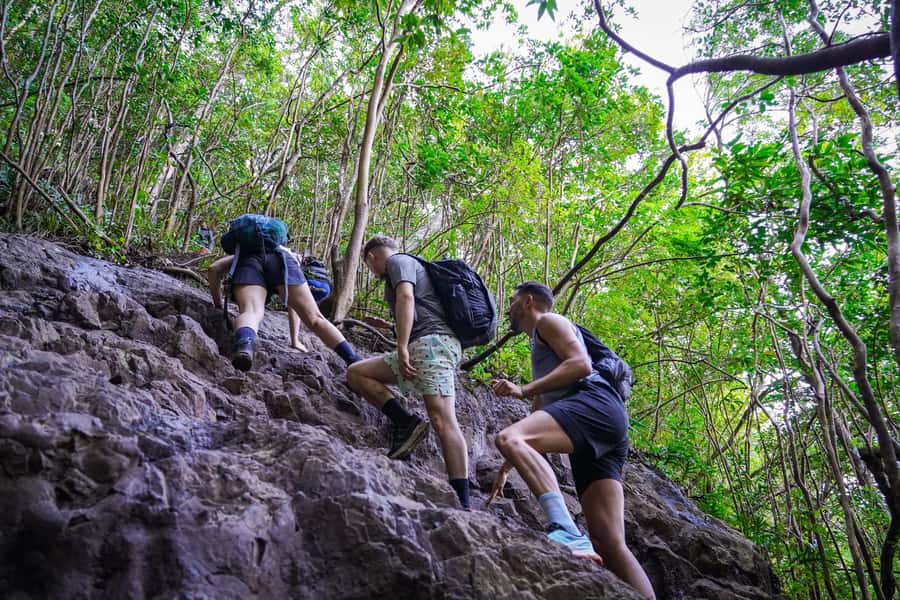 Mauritius: Exploring the Tamarind Falls with a Guide - What the guide adds beyond route-finding