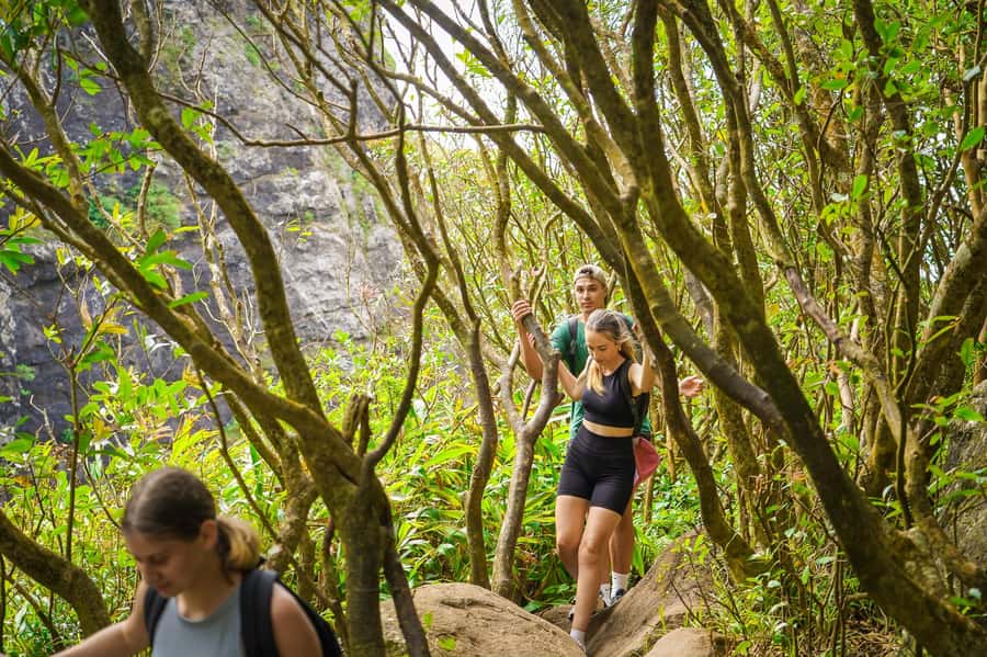 Mauritius: Exploring the Tamarind Falls with a Guide - Lunch, snacks, and what to pack