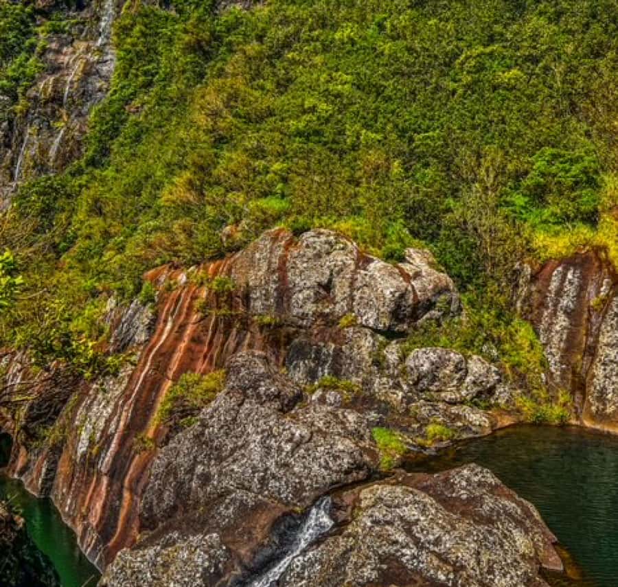 Mauritius: Full Canyon Tamarind Falls 5-Hour Hike - Swimming beneath the falls