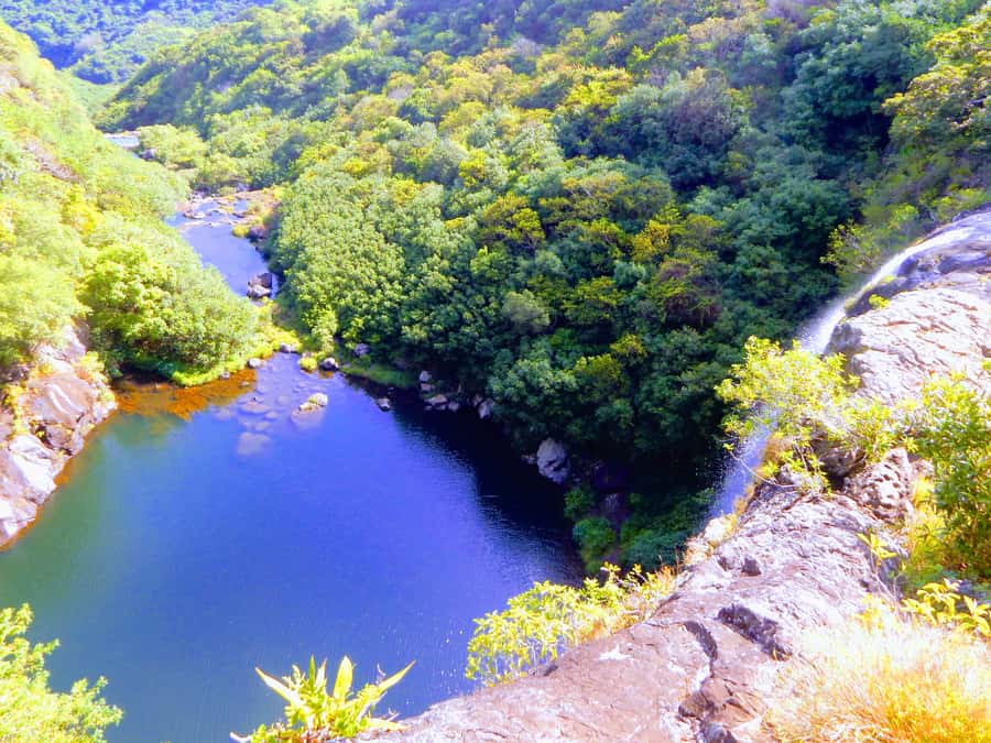 Mauritius: Guided Tamarind Falls Hike with Hotel Transfers - Key points to know before booking