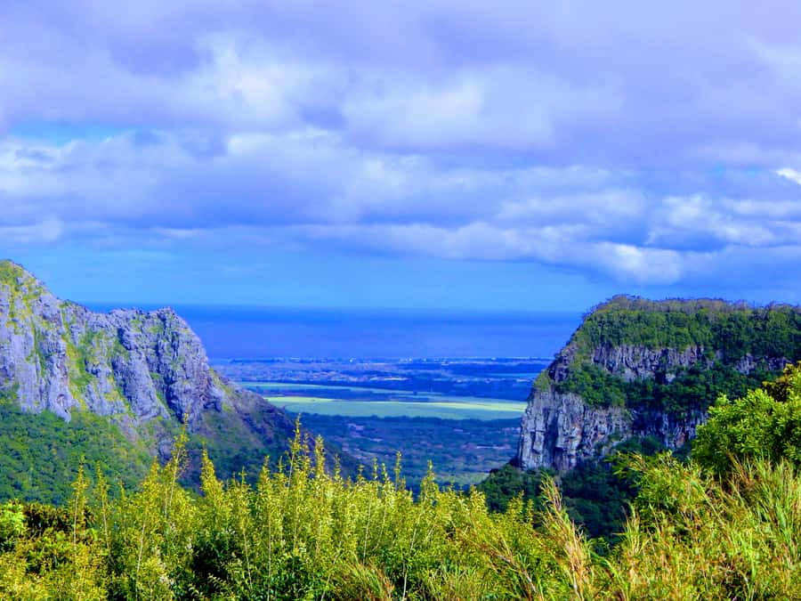 Mauritius: Guided Tamarind Falls Hike with Hotel Transfers - Following the first cascades through the forest