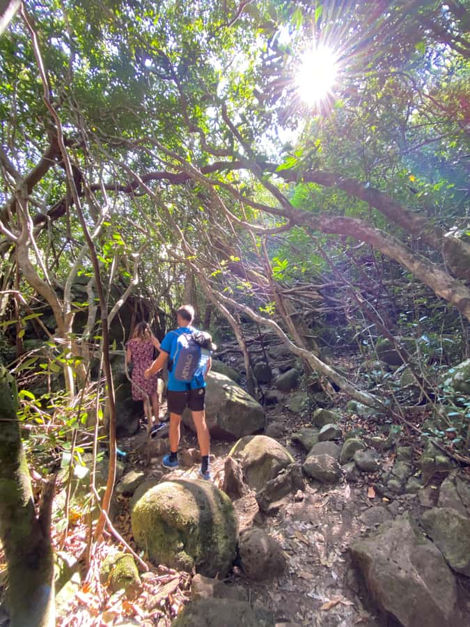 Mauritius Natirel : 7 cascades valley waterfall discovery - Five waterfalls, then views toward seven