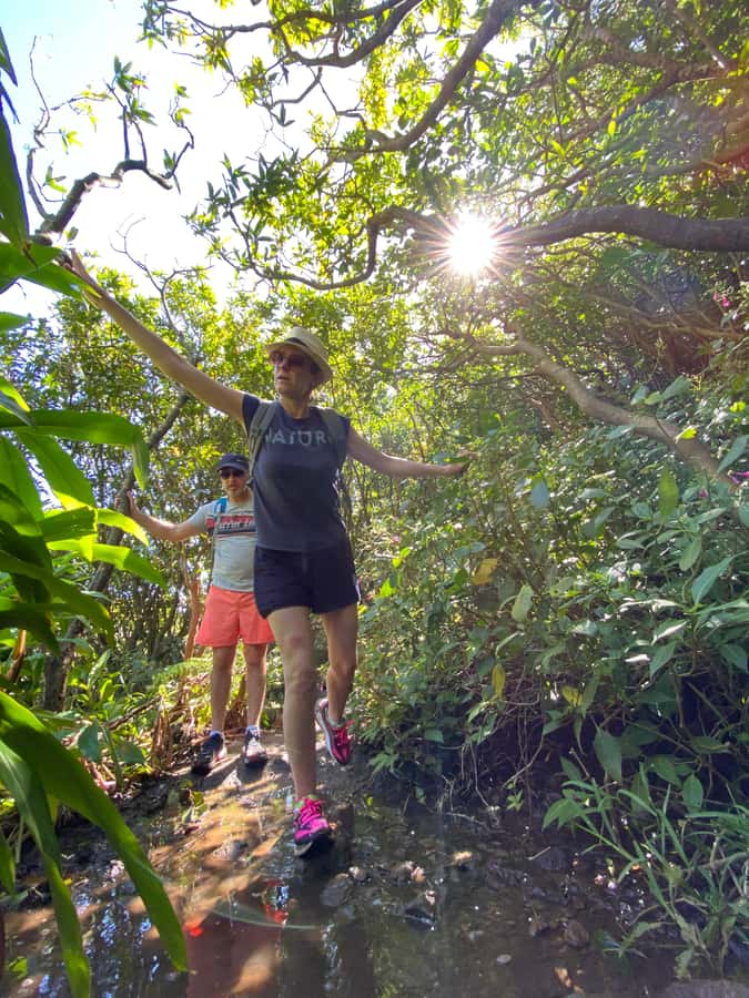 Mauritius Natirel : 7 cascades valley waterfall discovery - What the $44 price really covers