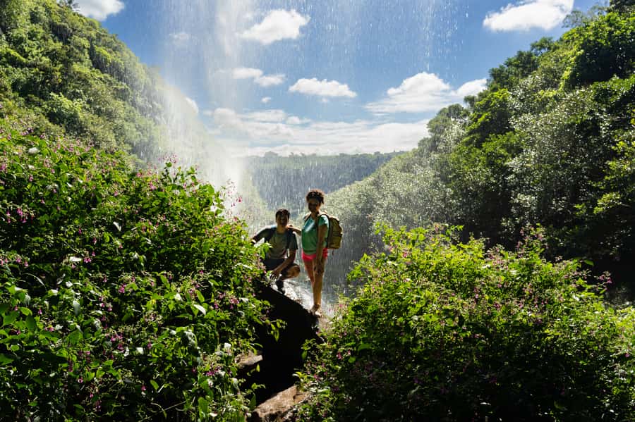 Mauritius: The Iconic Waterfalls hike + Mauritian picnic - The first trail section through the forest