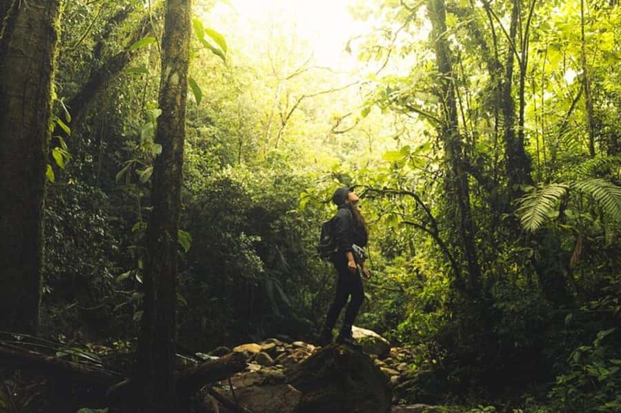 Medellín: Secret Waterfall Hike Tour with Snack and Coffee - Key points to know before you go