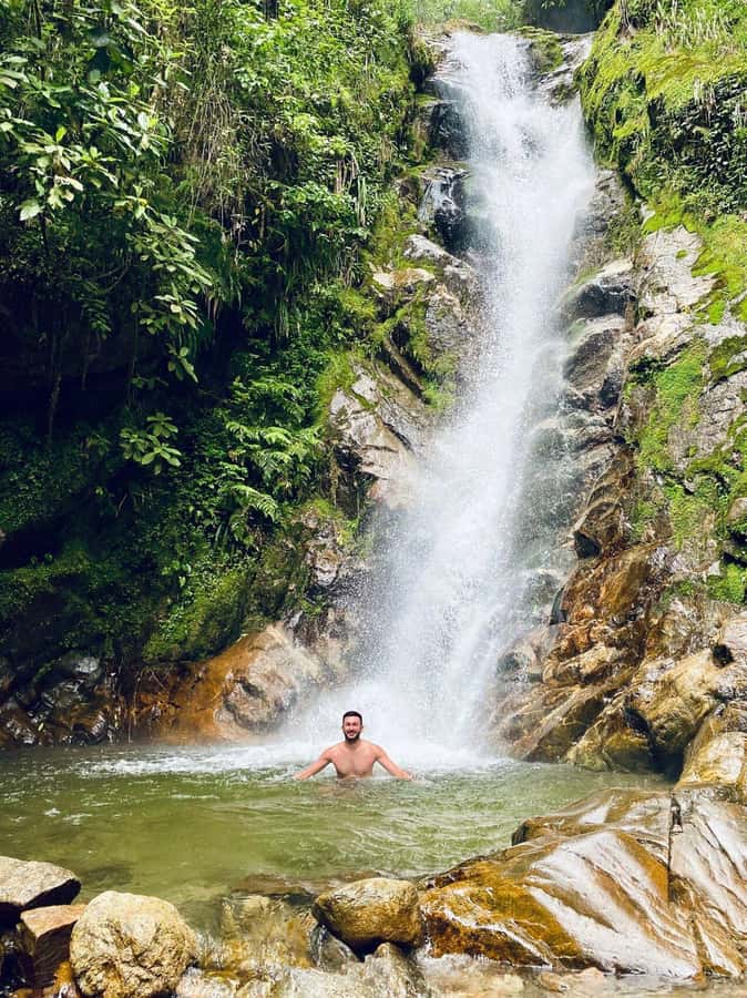 Medellín: Secret Waterfall Hike Tour with Snack and Coffee - Forest plants, animals, and a bilingual guide