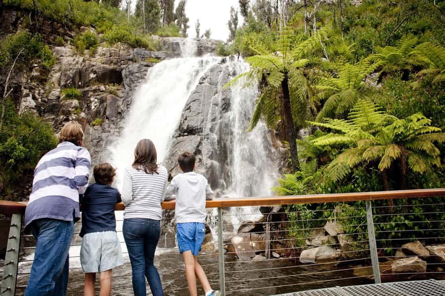 Melbourne: Lake Mountain Snow Day and Waterfalls & Chocolate - Why this snow day works from Melbourne