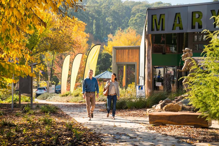 Melbourne: Lake Mountain Snow Day and Waterfalls & Chocolate - Healesville sets the pace