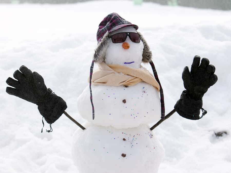 Melbourne: Lake Mountain Snow & Waterfalls Guided Tour - Why this Melbourne snow trip works