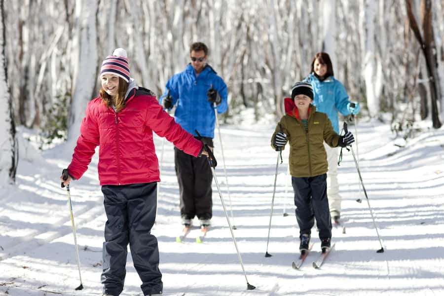 Melbourne: Lake Mountain Snow & Waterfalls Guided Tour - Walking beside the river to Steavenson Falls