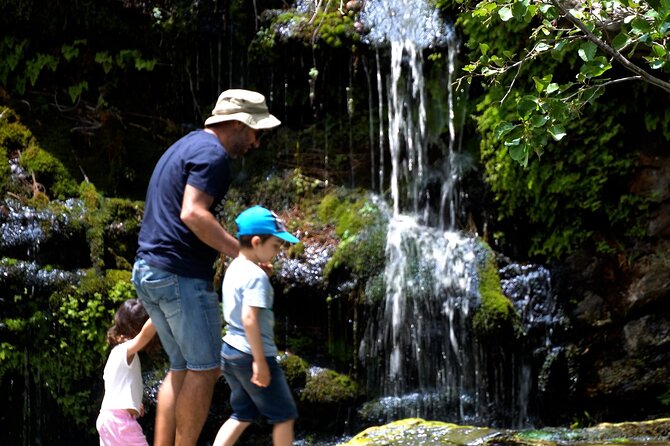 Menites Springs & Cave Foros - Half Day Tour - Private transport and the small-group advantage
