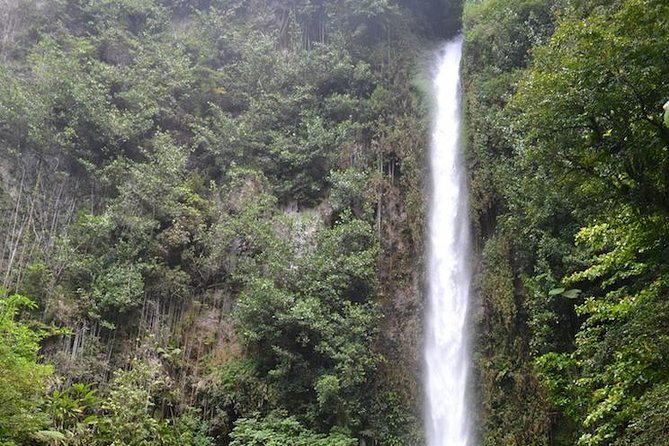 Middleham Falls Hike and Ti'tou Gorge Half-Day Excursion - The essential points before you book