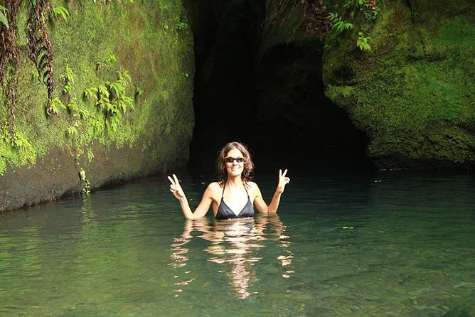 Middleham Falls Hike and Ti'tou Gorge Half-Day Excursion - A demanding start in Dominica’s rainforest