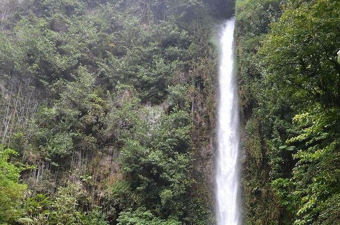 Middleham Falls Hike and Ti'tou Gorge Half-Day Excursion - How to prepare for the trail and gorge