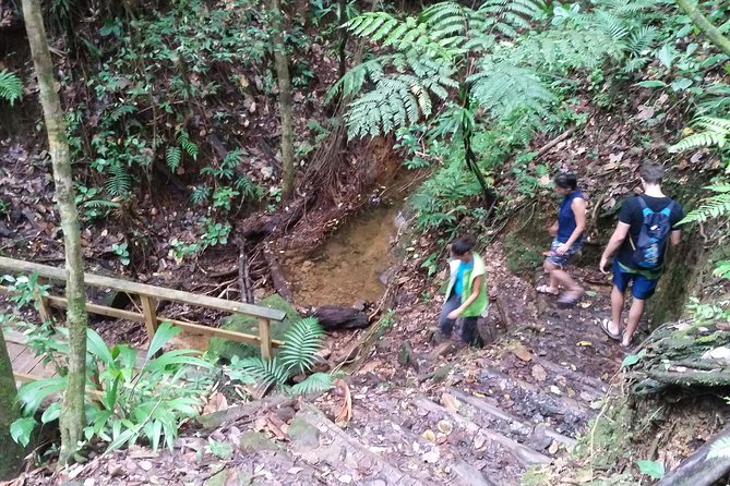Middleham Falls Hike and Ti'tou Gorge Half-Day Excursion - Ti’tou Gorge brings the biggest thrill
