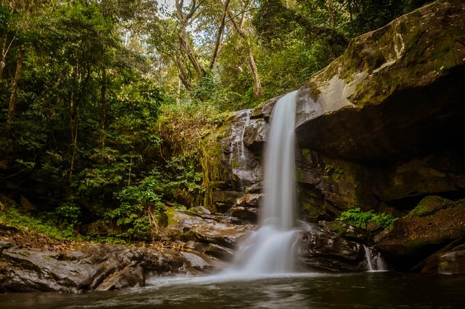 Mikumi National Park & Udzungwa Water Falls 3 Days Group Tour - The 4:30 AM drive to Mikumi