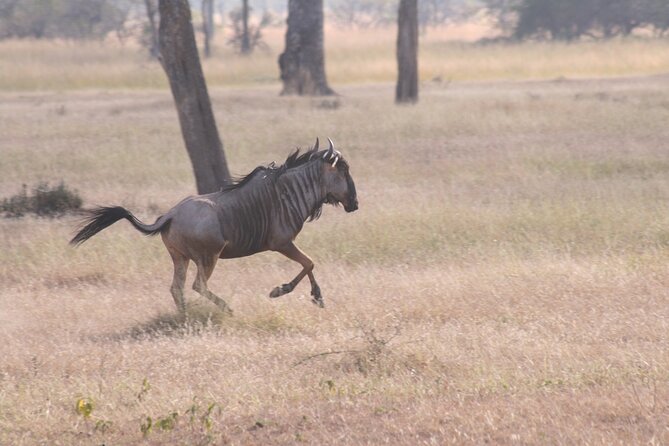Mikumi National Park & Udzungwa Water Falls 3 Days Group Tour - Meals, lodging, and what the price covers