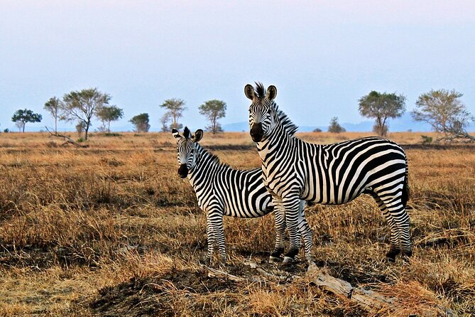 Mikumi National Park & Udzungwa Water Falls 3 Days Group Tour - Is $770 per person good value?
