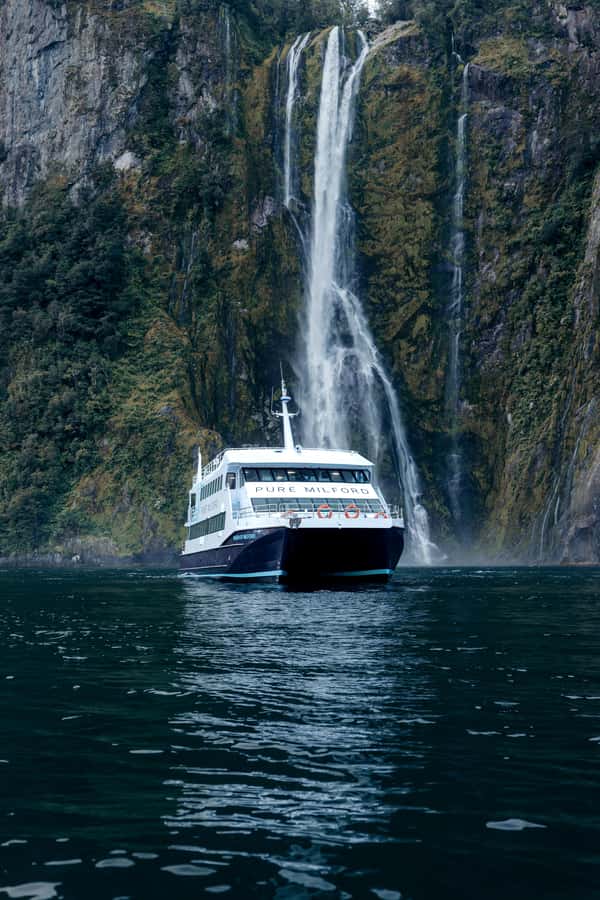 Milford Sound: Waterfalls, Wildlife, and Rainforest Cruise - Key points to know before you board