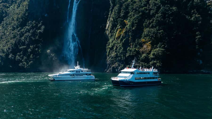 Milford Sound: Waterfalls, Wildlife, and Rainforest Cruise - Why Milford Sound works best from the water