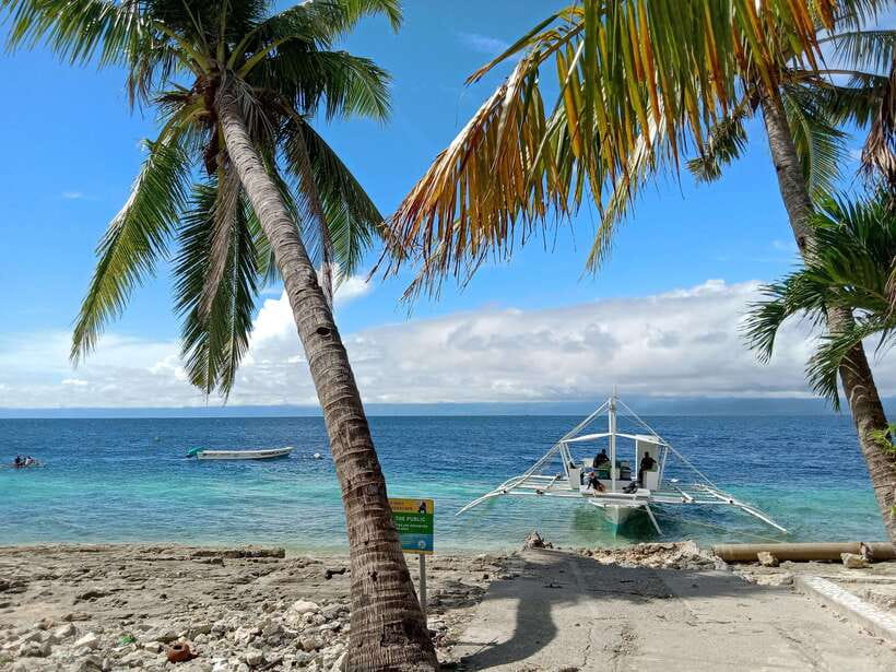 Moalboal Sardine Run, Sea Turtle & Mantayupan Falls - Is $89 a Fair Price?