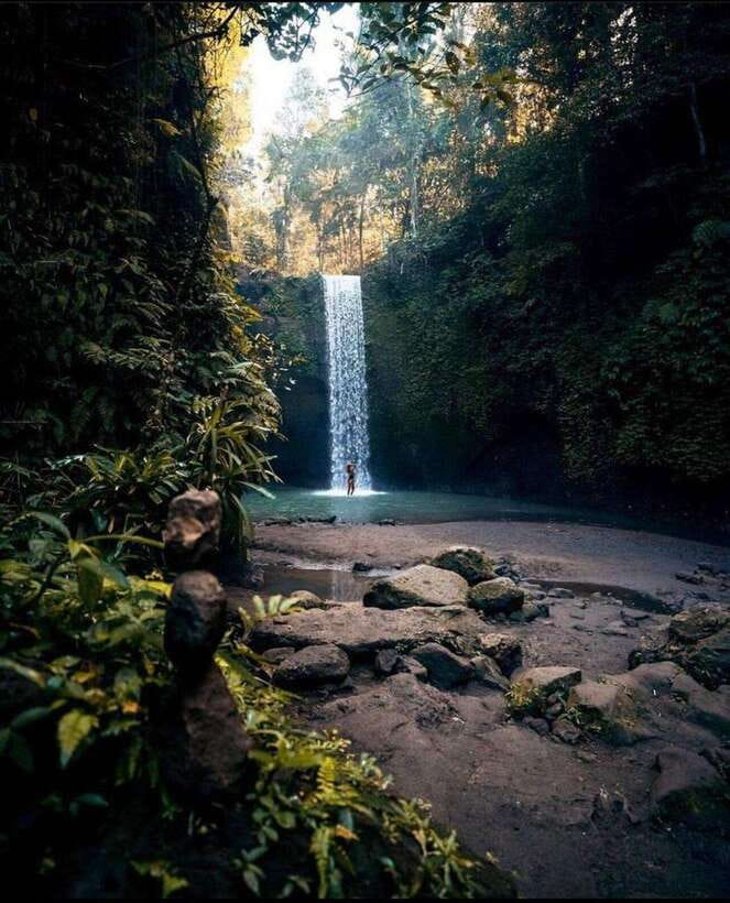 Monkey Forest, Kanto Lampo, Waterfall, Temple & Rice Terrace - Key points at a glance