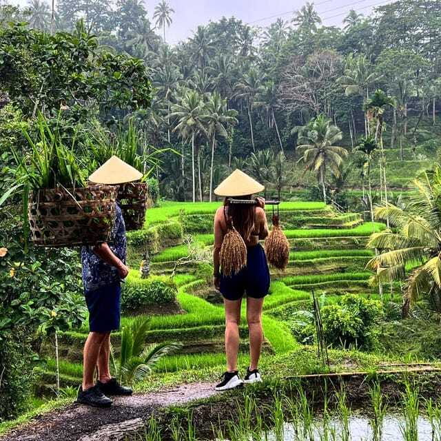 Monkey Forest, Kanto Lampo, Waterfall, Temple & Rice Terrace - Understanding Tirta Empul’s holy springs