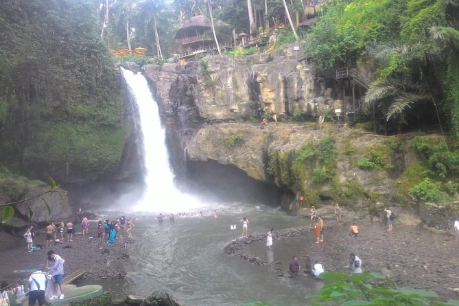 Monkey Forest, Ubud, Waterfall and Rice Terrace - Uma Pakel Agro Tourism and the coffee stop