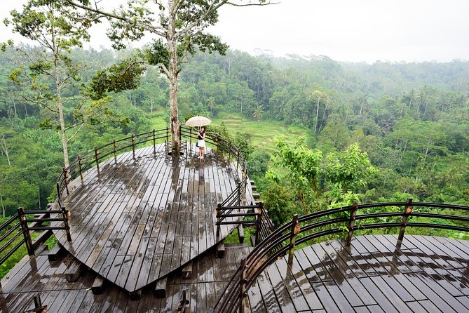 Monkey Forest, Ubud, Waterfall and Rice Terrace - What the $65 group price really buys you