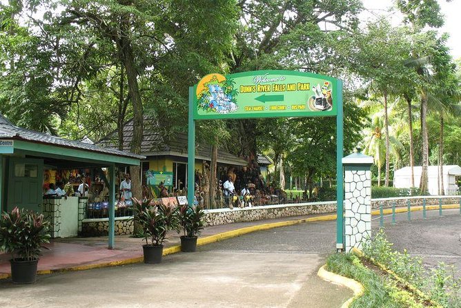 Montego Bay to Dunn's River Falls Half-Day Trip - The Montego Bay transfer can change the value