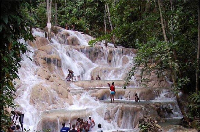 Montego Bay to Dunn's River Falls Half-Day Trip - Who will enjoy this waterfall outing