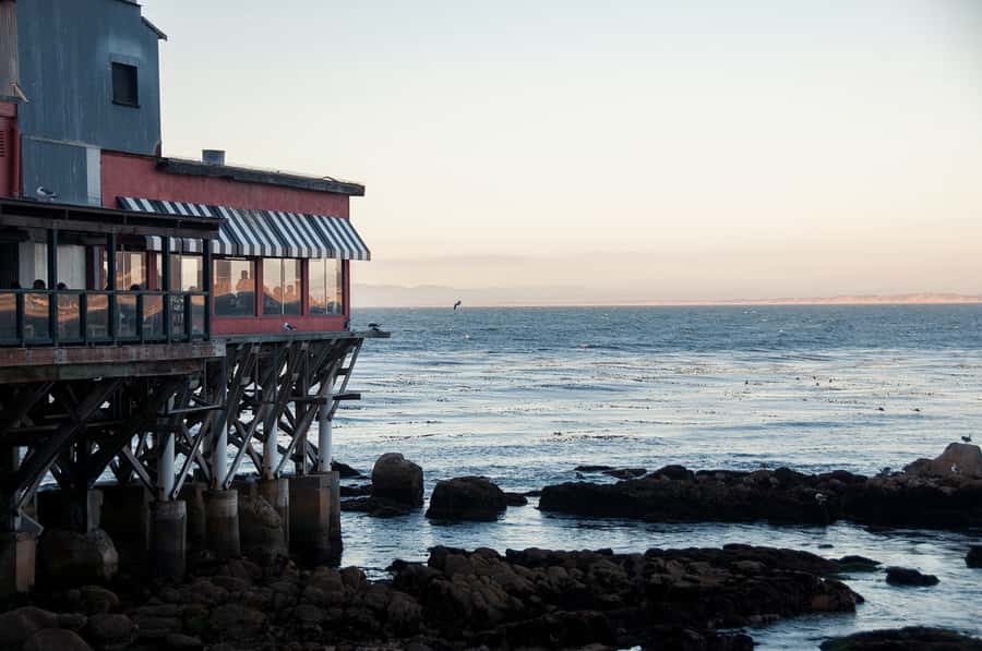 Monterey, Carmel, 17 Mile Dr, Big Sur & Mcway Falls Pvt Tour - Who should book this day trip
