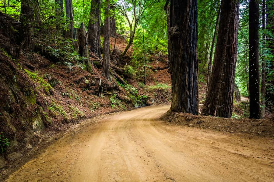 Monterey, Carmel, 17 Mile Dr, Big Sur & Mcway Falls Pvt Tour - McWay Falls: the day’s signature view