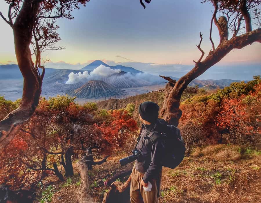 Mount Bromo Sunrise and Madakaripura Waterfall 1 Day Tour - Why this Bromo and waterfall pairing works
