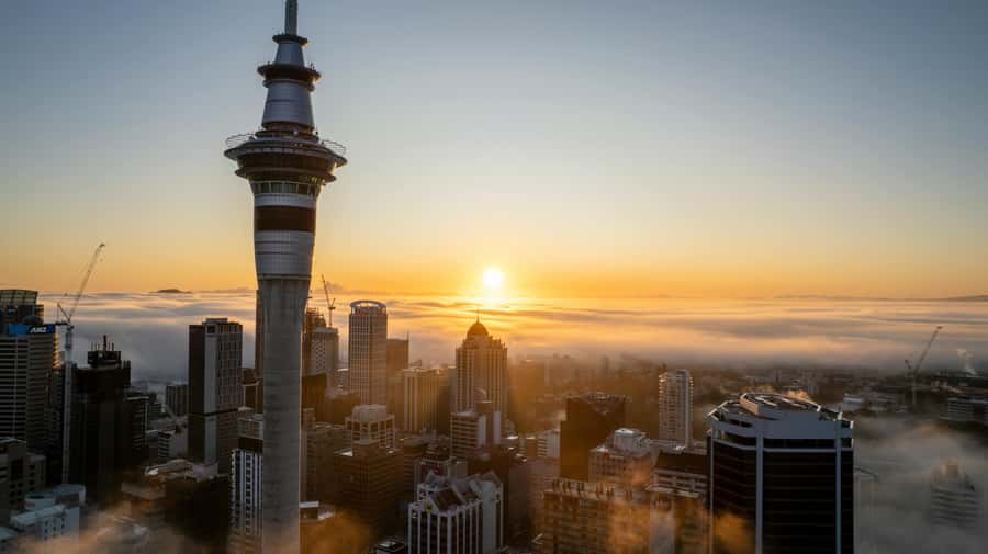 Mt. Eden, Piha Beach & Karekare Waterfalls - PRIVATE TOUR - Key points at a glance
