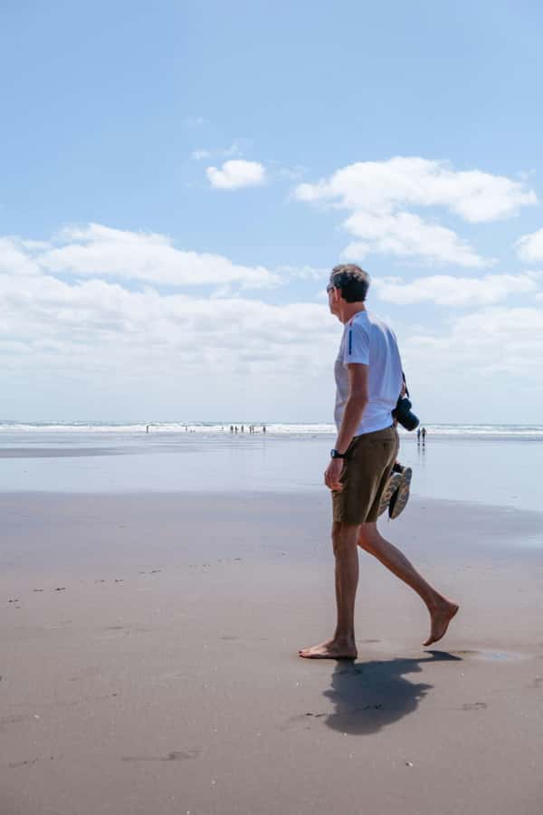 Mt. Eden, Piha Beach & Karekare Waterfalls - PRIVATE TOUR - Starting above Auckland at Mt. Eden