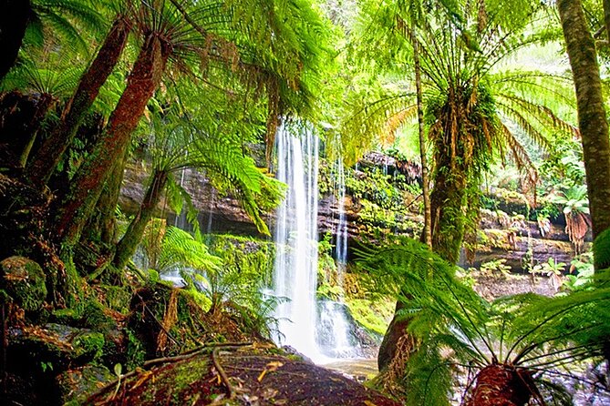 Mt Field National Park and Russell Falls from Hobart - Salmon Ponds and a calm start to the day