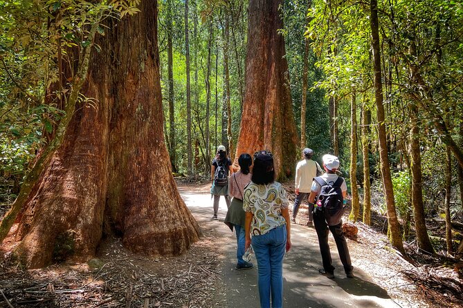 Mt Field National Park and Russell Falls from Hobart - Is $129.10 a fair price?
