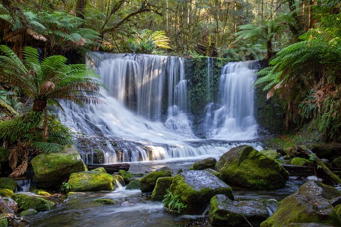 Mt Field National Park and Russell Falls from Hobart - Walking among Mount Field’s Tall Trees
