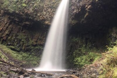 Multnomah Falls and Columbia River Gorge Half-Day Hiking Tour