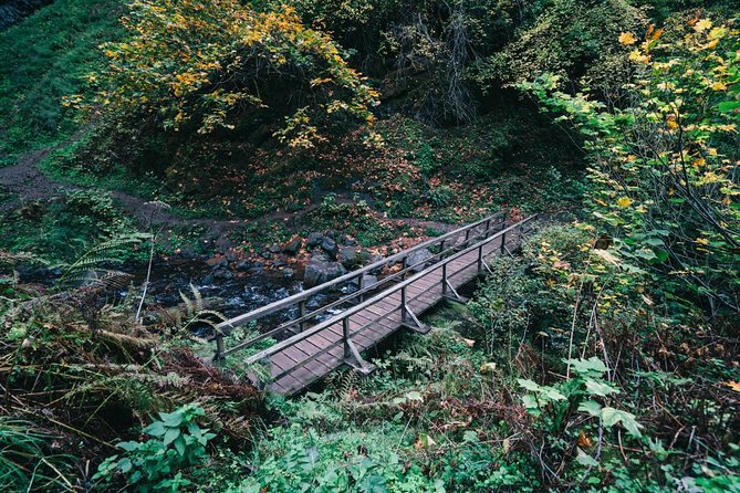 Multnomah Falls and Columbia River Gorge Waterfalls Tour Morning - The guides shape the morning